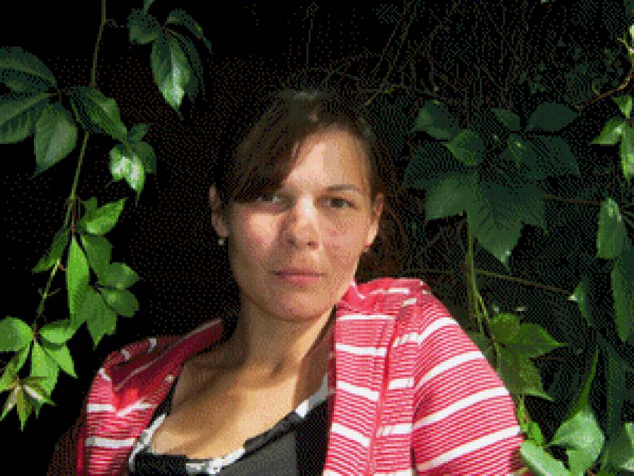 №536096 - предпросмотр