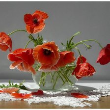 Схема вышивки «Маковый букет»