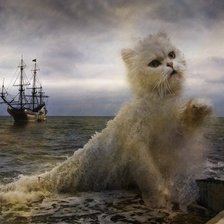 Схема вышивки «Волнующий кот»