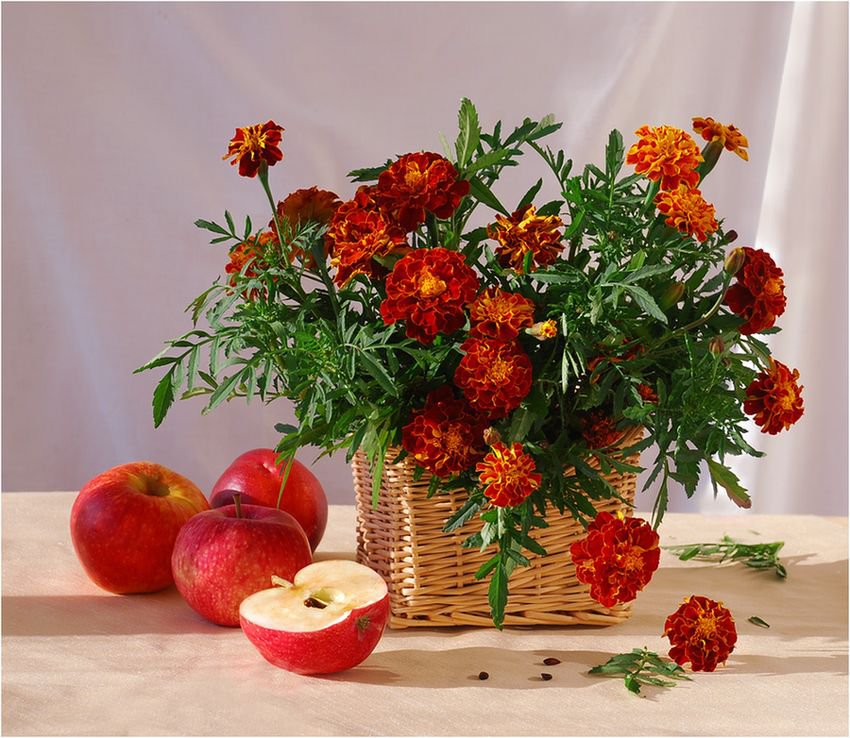 НАТЮРМОРТ - оригинал