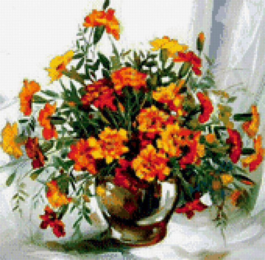 бархатцы - предпросмотр