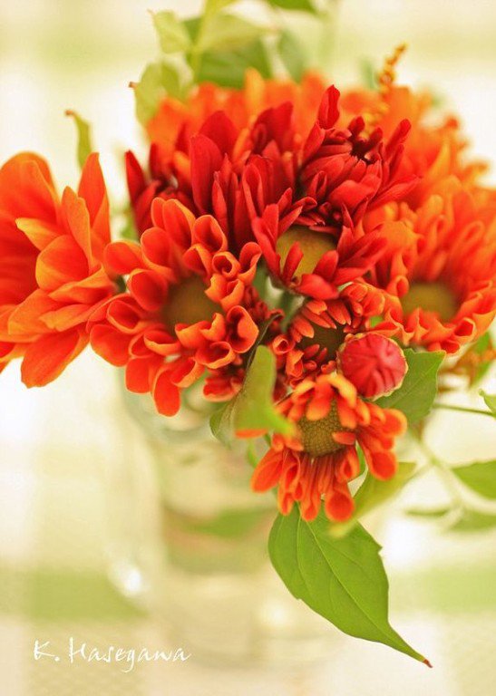 №536256 - оригинал