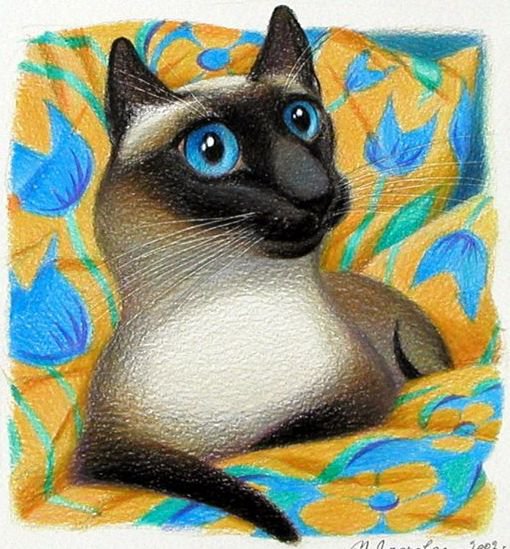 кошка - кошка, животные, подушка - оригинал