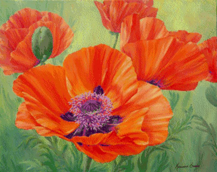 Маки - цветы, картина, маки, акварель, живопись - предпросмотр