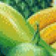 Предпросмотр схемы вышивки «Экзотические фрукты» (№536433)