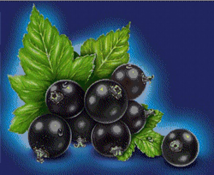 Фрукты для кухни - для кухни - предпросмотр