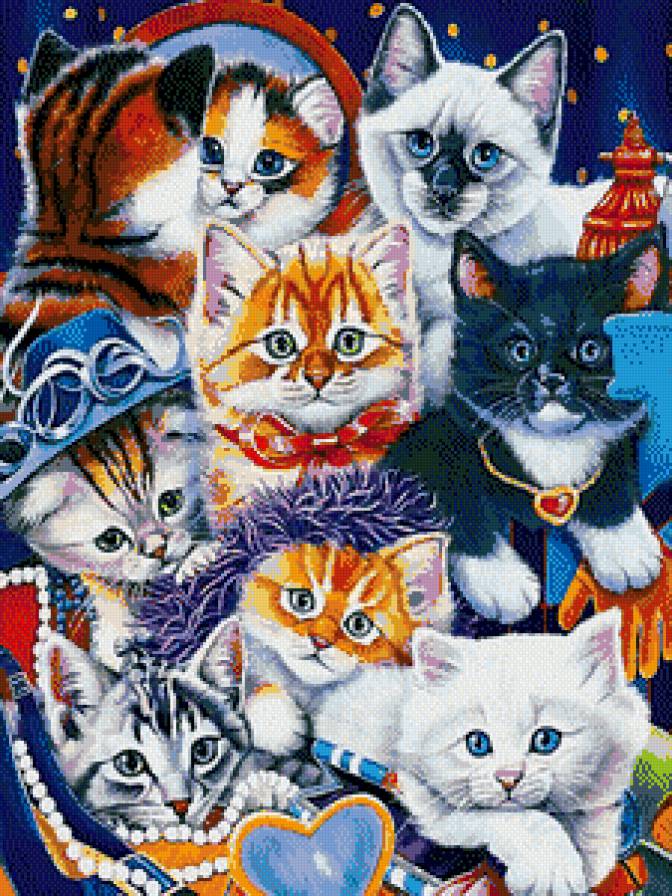 Котики - животные - предпросмотр