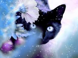 №540 - кот, снег, зима, животные - оригинал