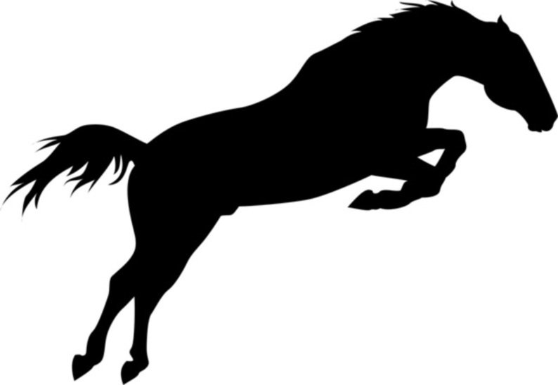 лошадь маленькая - прыжок, скачек, лошадь, стремление - оригинал