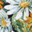 Предпросмотр схемы вышивки «Бабочка и полевые цветы» (№536723)