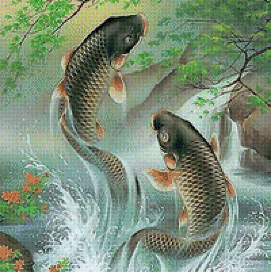 Танцующие карпы - карпики, фен-шуй, карпы, рыба - предпросмотр