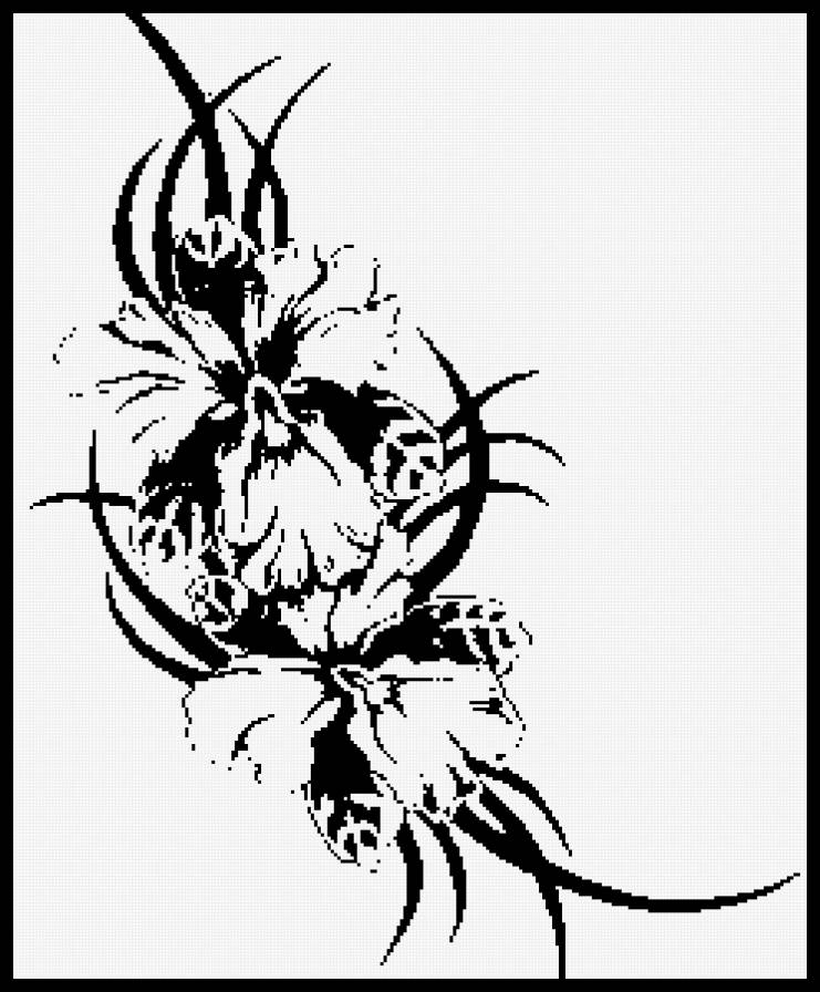 ИРИС - предпросмотр