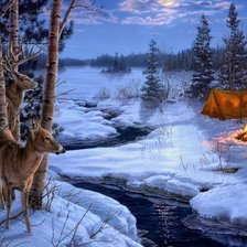 ночью в лесу