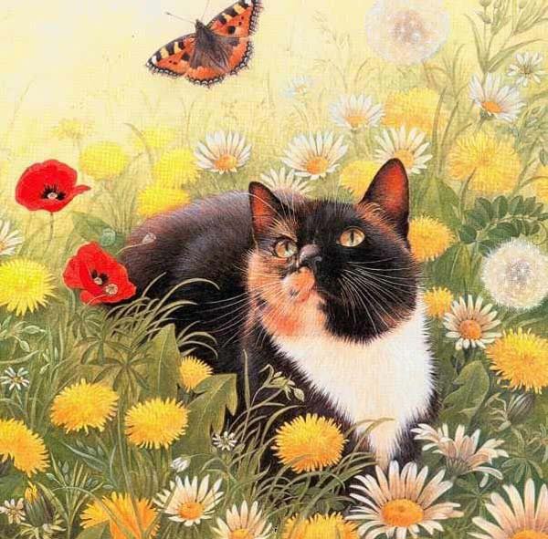 Котофей Иванович - природа, кот, животные, кошка - оригинал