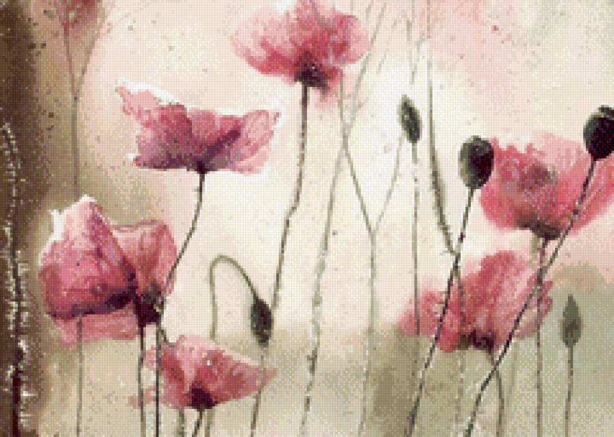 Розовые маки - мак, пастель - предпросмотр