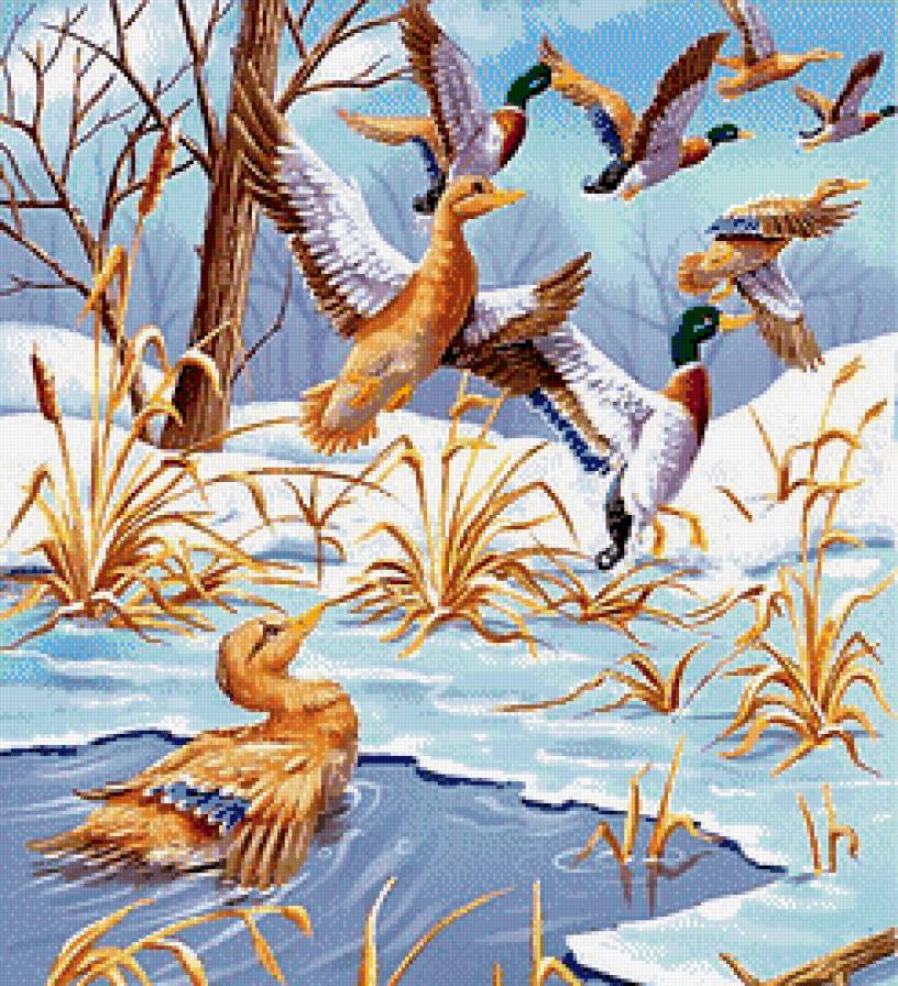 Утки - утки, картина, зима, птицы - предпросмотр