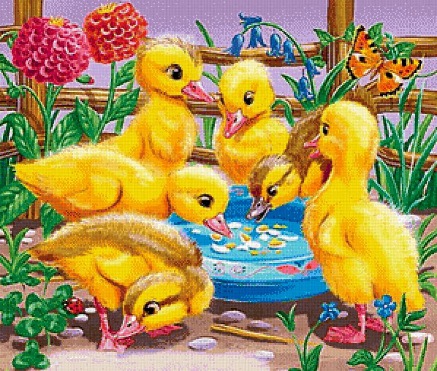 Утята - утята, птенцы, птицы - предпросмотр