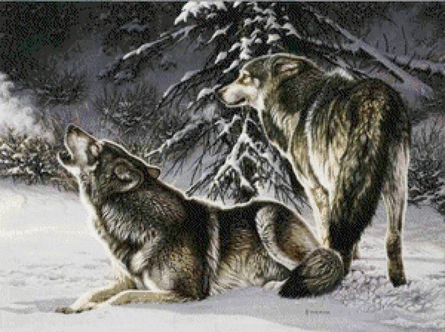 №537317 - животные, волки, зима - предпросмотр