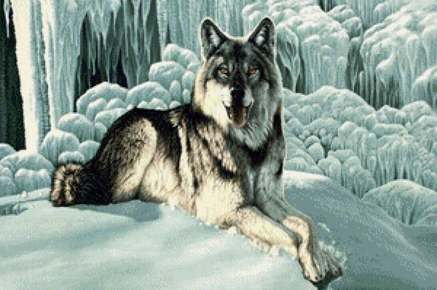 №537320 - волк, зима, животные - предпросмотр