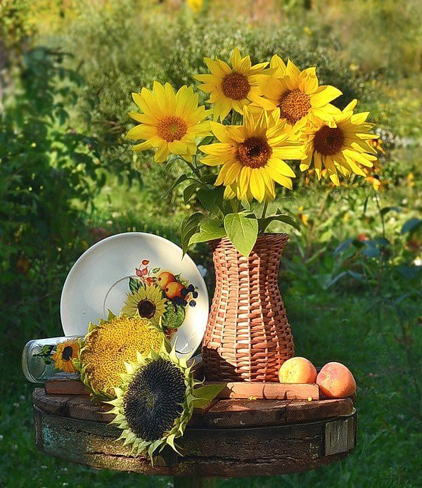 солнечный светок - подсолнух, ваза, кухня - оригинал