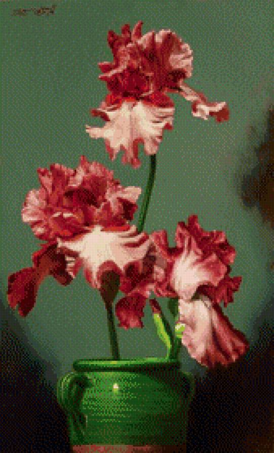 Ирисы - цветы, натюрморт - предпросмотр