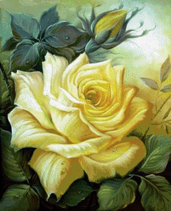 №537637 - предпросмотр