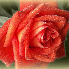 Оригинал схемы вышивки «№537689»