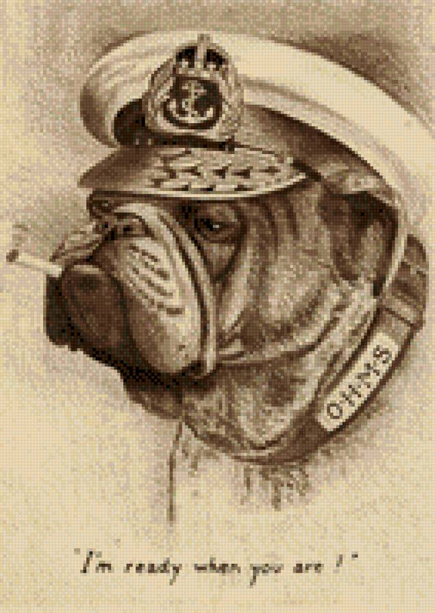 капитан - предпросмотр