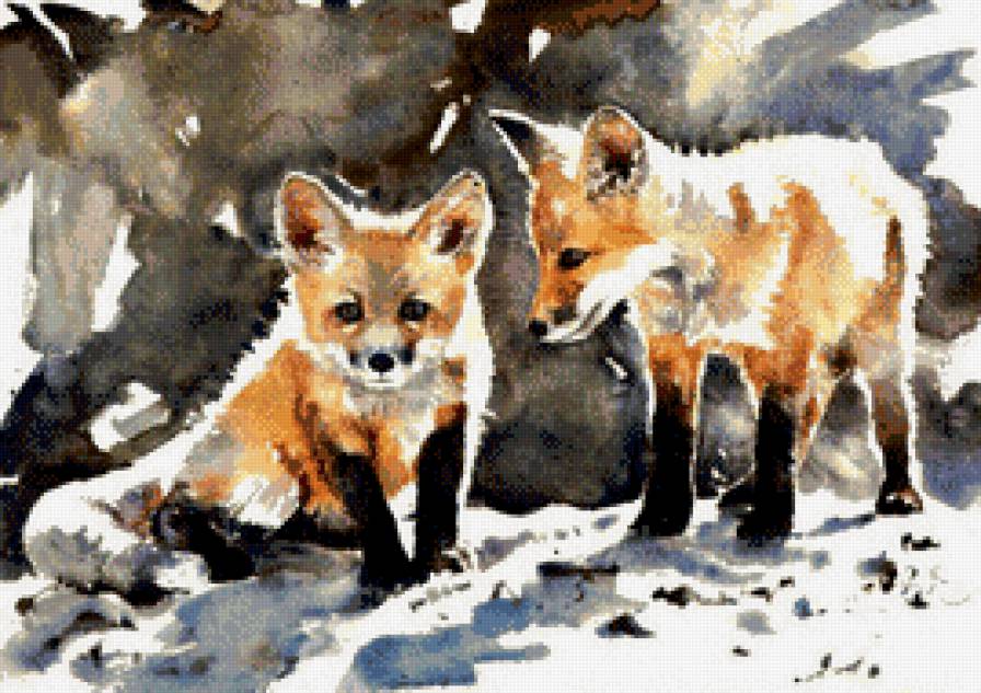 лисята акварель - животные, рисунки - предпросмотр