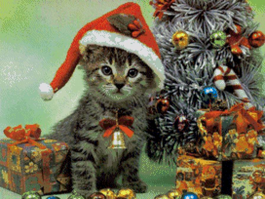 новогодний котейка - праздник, кошки, животные - предпросмотр