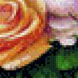 Предпросмотр схемы вышивки «розы» (№537826)