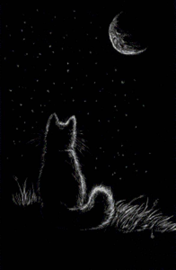 Кошка - кошки - предпросмотр