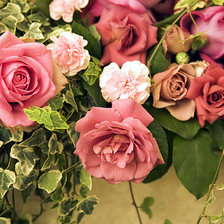 Схема вышивки «Розы»