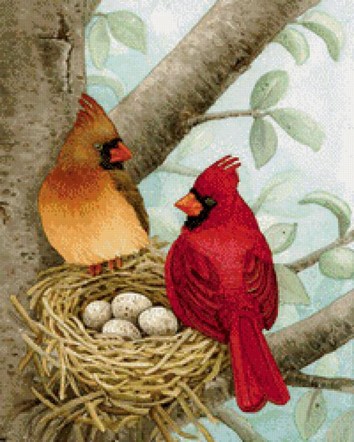 гнёздышко - синички, птицы, гнездо, снегири, зимородки - предпросмотр