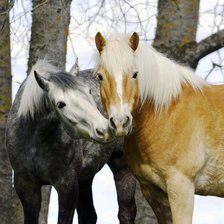Схема вышивки «лошади»