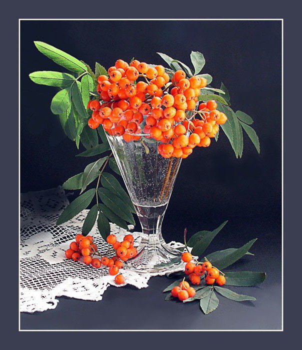 Рябина - красиво, рябина, натюрморт - оригинал