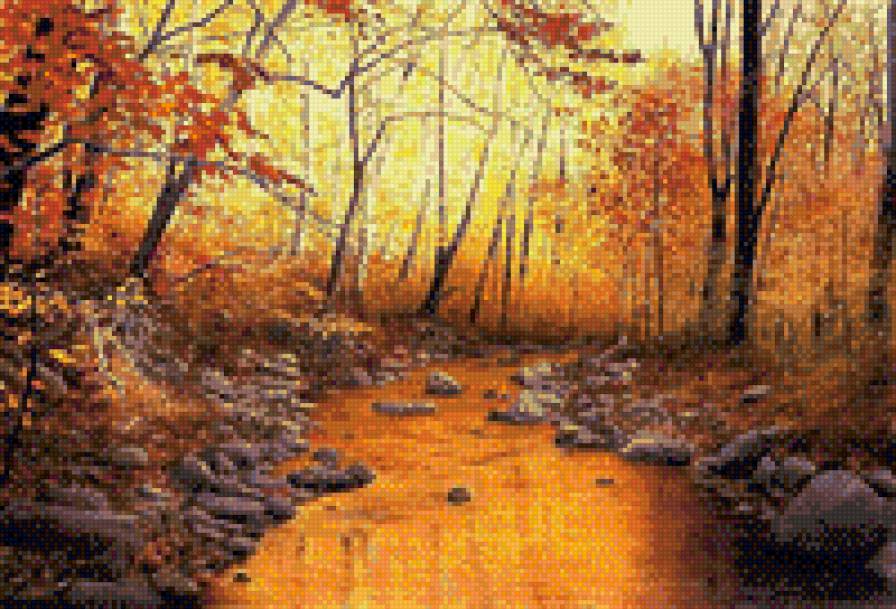 лесной ручей - ручей, природа, осень, лес, пейзаж - предпросмотр