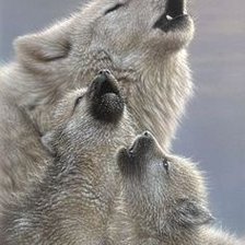 Схема вышивки «Волчья семья.»