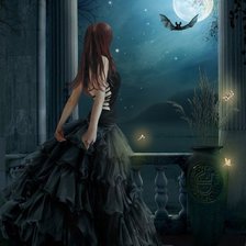 Тёмная леди