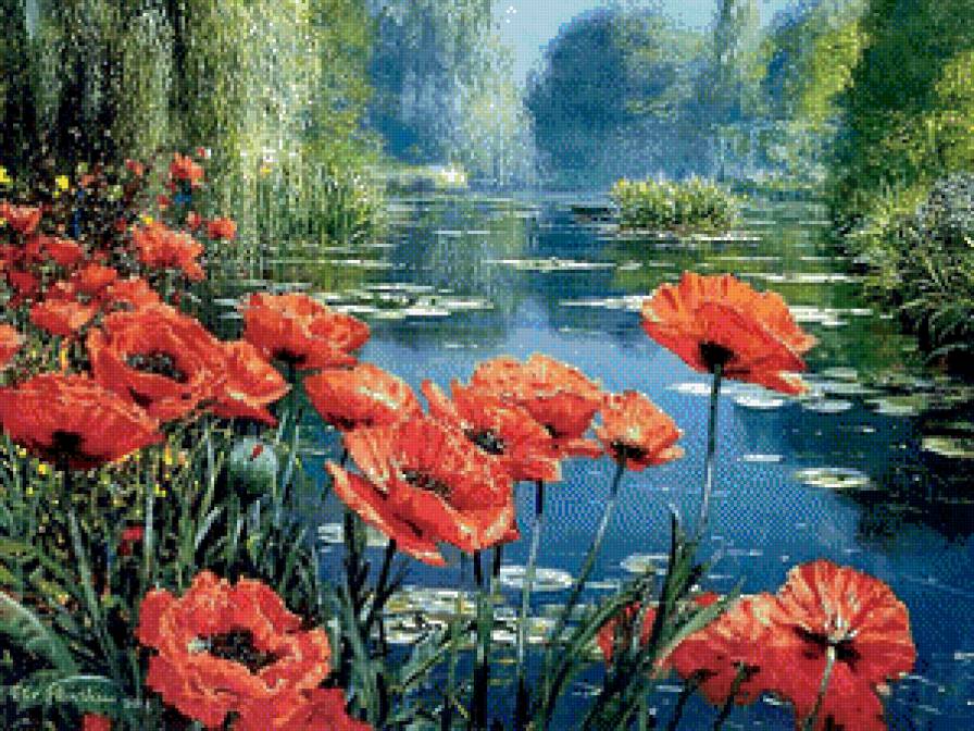 Озеро с маками - цветы, озеро, маки, пейзаж - предпросмотр