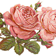 Оригинал схемы вышивки «розы» (№538399)