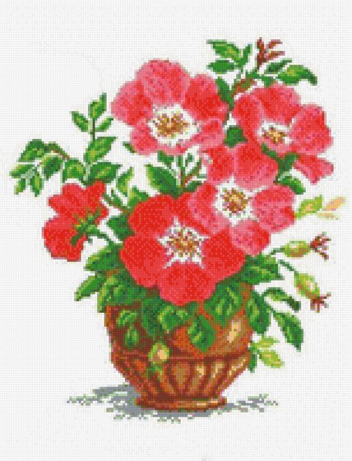 шиповник - букет, цветы, шиповник - предпросмотр