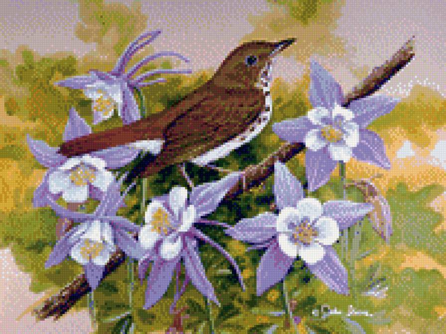 чудо птица - предпросмотр