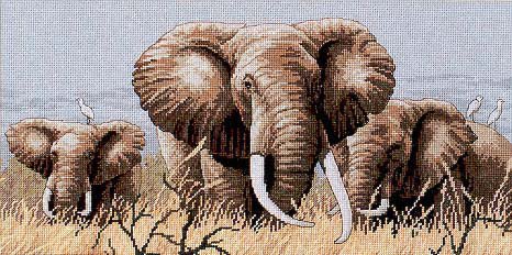 слоны - оригинал