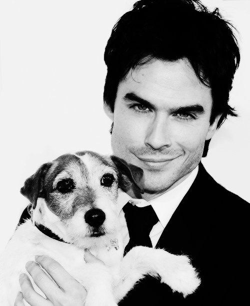 Иен Сомерхолдер - мужчина, актер, иен сомерхолдер, портрет, дневники вампира, дэймон - оригинал