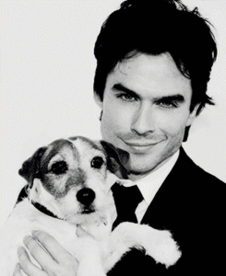 Иен Сомерхолдер - мужчина, иен сомерхолдер, портрет, дневники вампира, дэймон, актер - предпросмотр