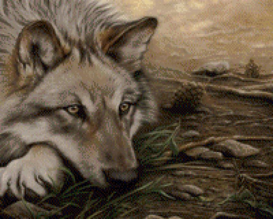 Волк - животные - предпросмотр