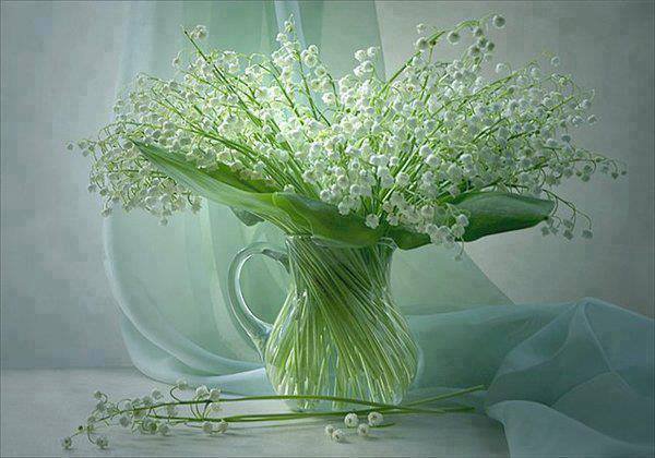 ландышы - цветы.ландыши - оригинал