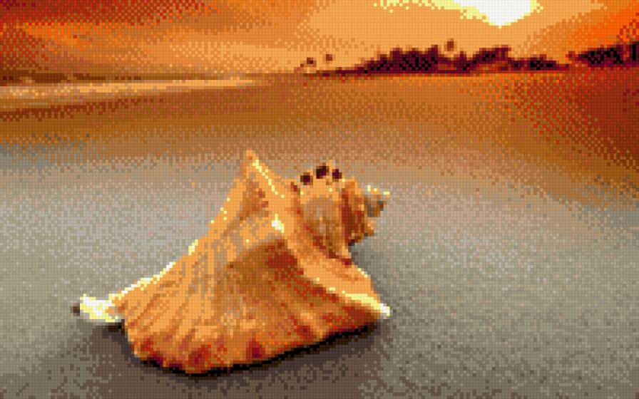 Дары моря - песок, ракушка - предпросмотр