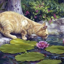Кот у пруда